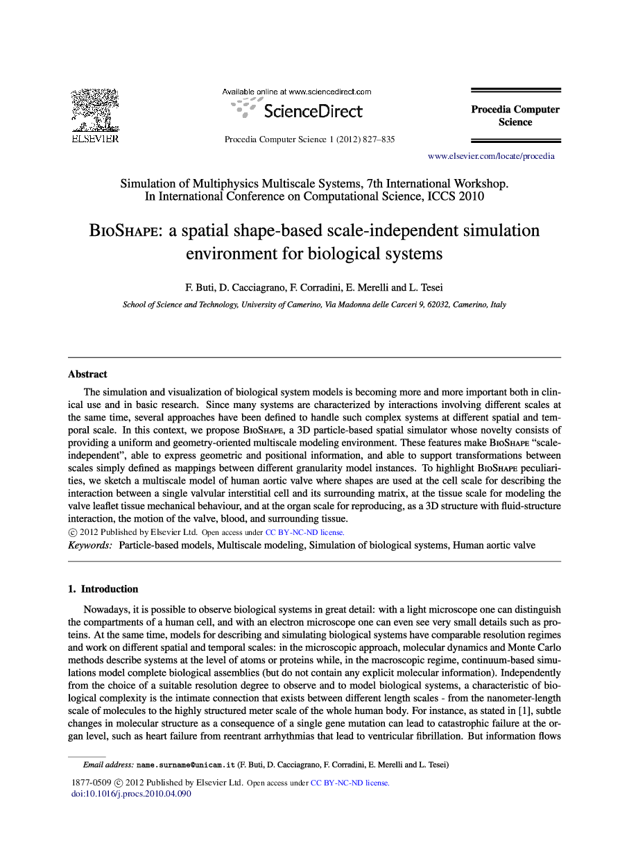 BioShape: a spatial shape-based scale-independent simulation environment for biological systems