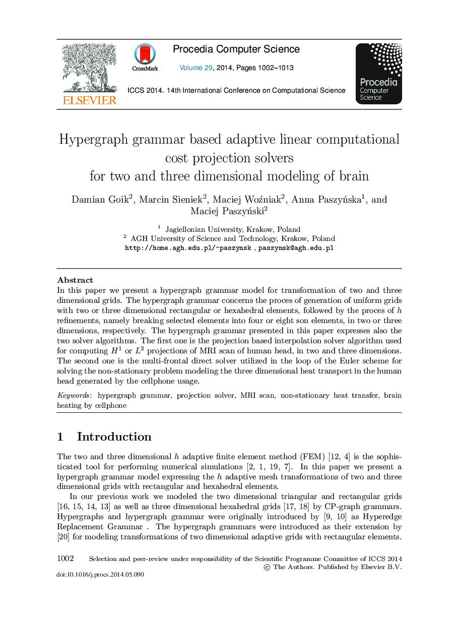 Hypergraph Grammar based Adaptive Linear Computational Cost Projection Solvers for Two and Three Dimensional Modeling of Brain 