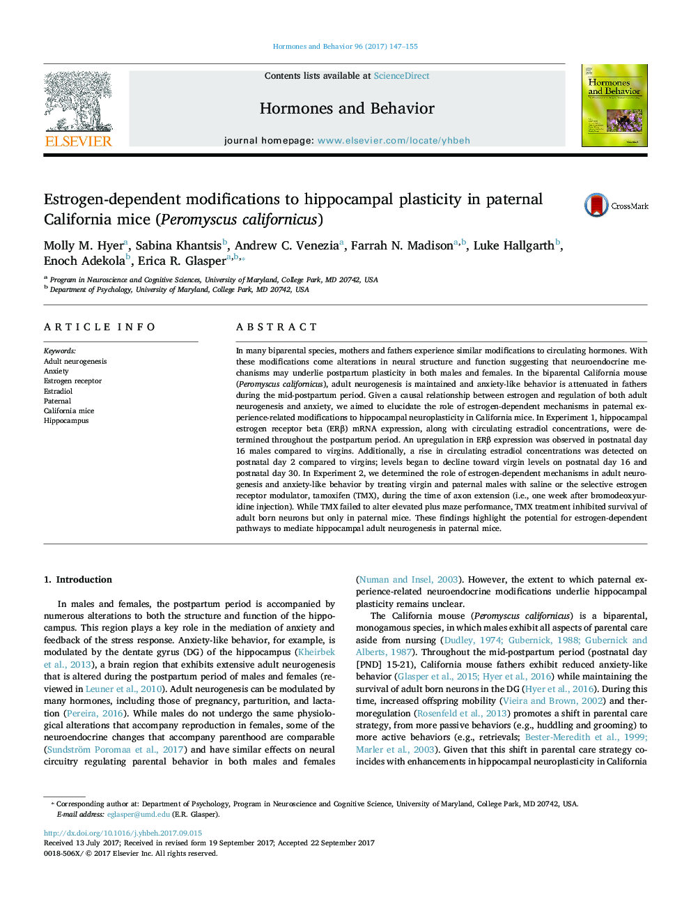 Estrogen-dependent modifications to hippocampal plasticity in paternal California mice (Peromyscus californicus)