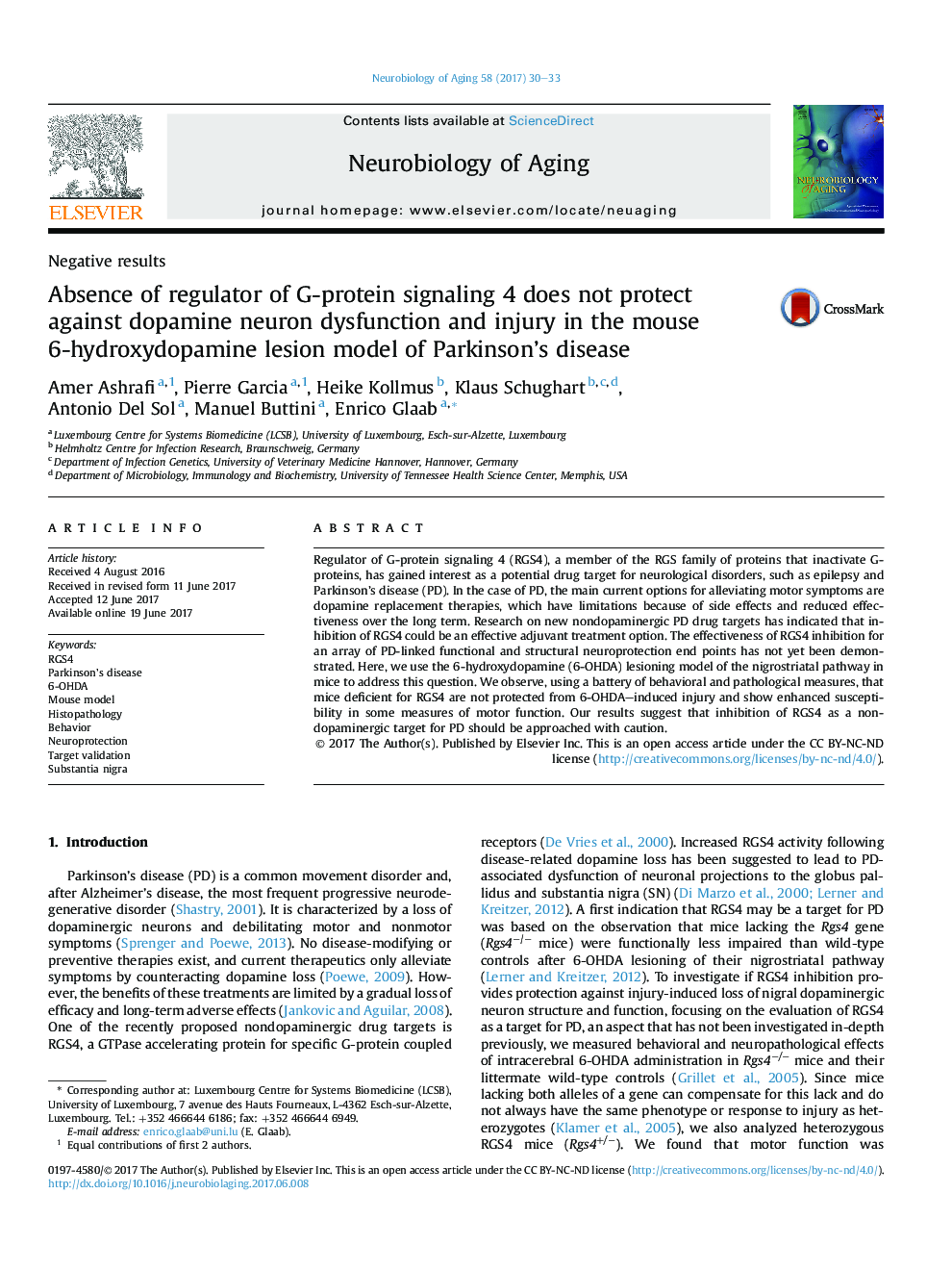 Absence of regulator of G-protein signaling 4 does not protect against dopamine neuron dysfunction and injury in the mouse 6-hydroxydopamine lesion model of Parkinson's disease