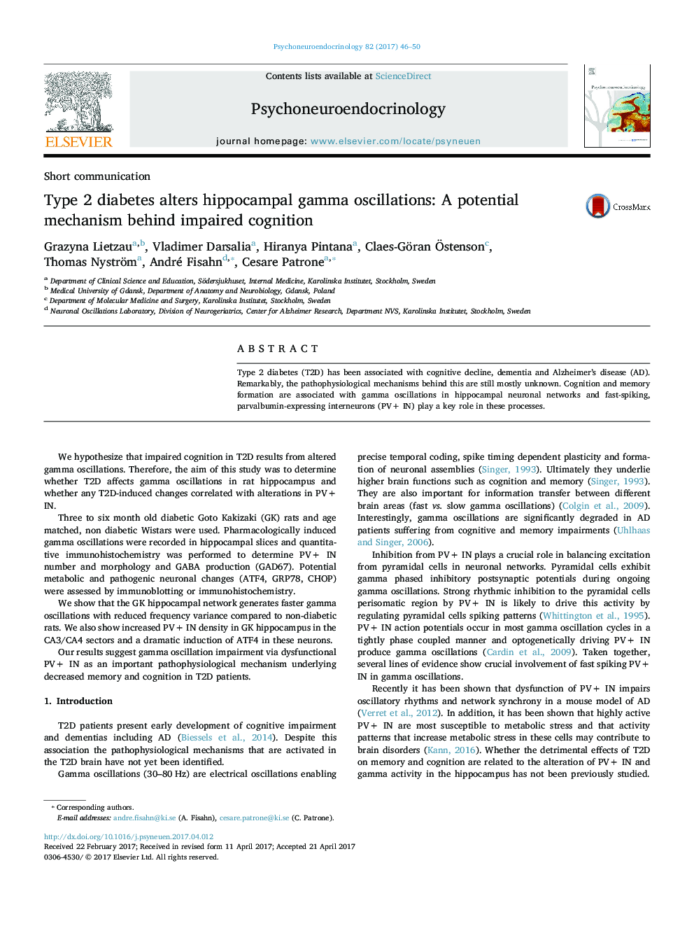 Type 2 diabetes alters hippocampal gamma oscillations: A potential mechanism behind impaired cognition