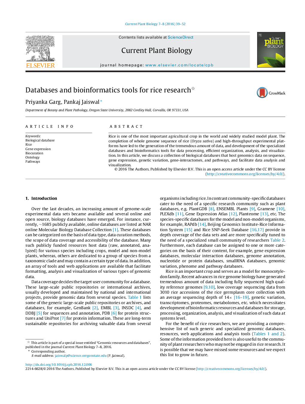 Databases and bioinformatics tools for rice research