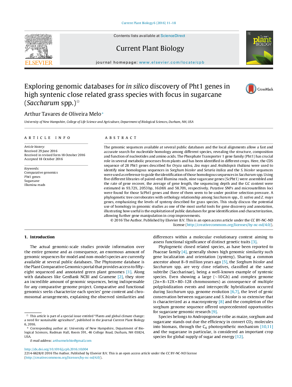 Exploring genomic databases for in silico discovery of Pht1 genes in high syntenic close related grass species with focus in sugarcane (Saccharum spp.)