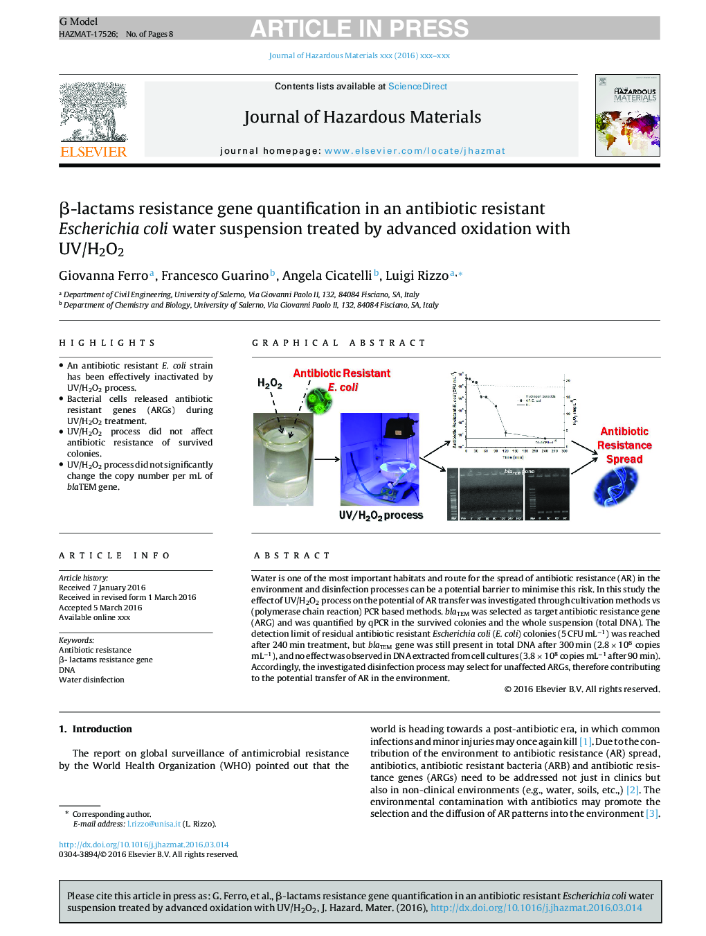 Î²-lactams resistance gene quantification in an antibiotic resistant Escherichia coli water suspension treated by advanced oxidation with UV/H2O2