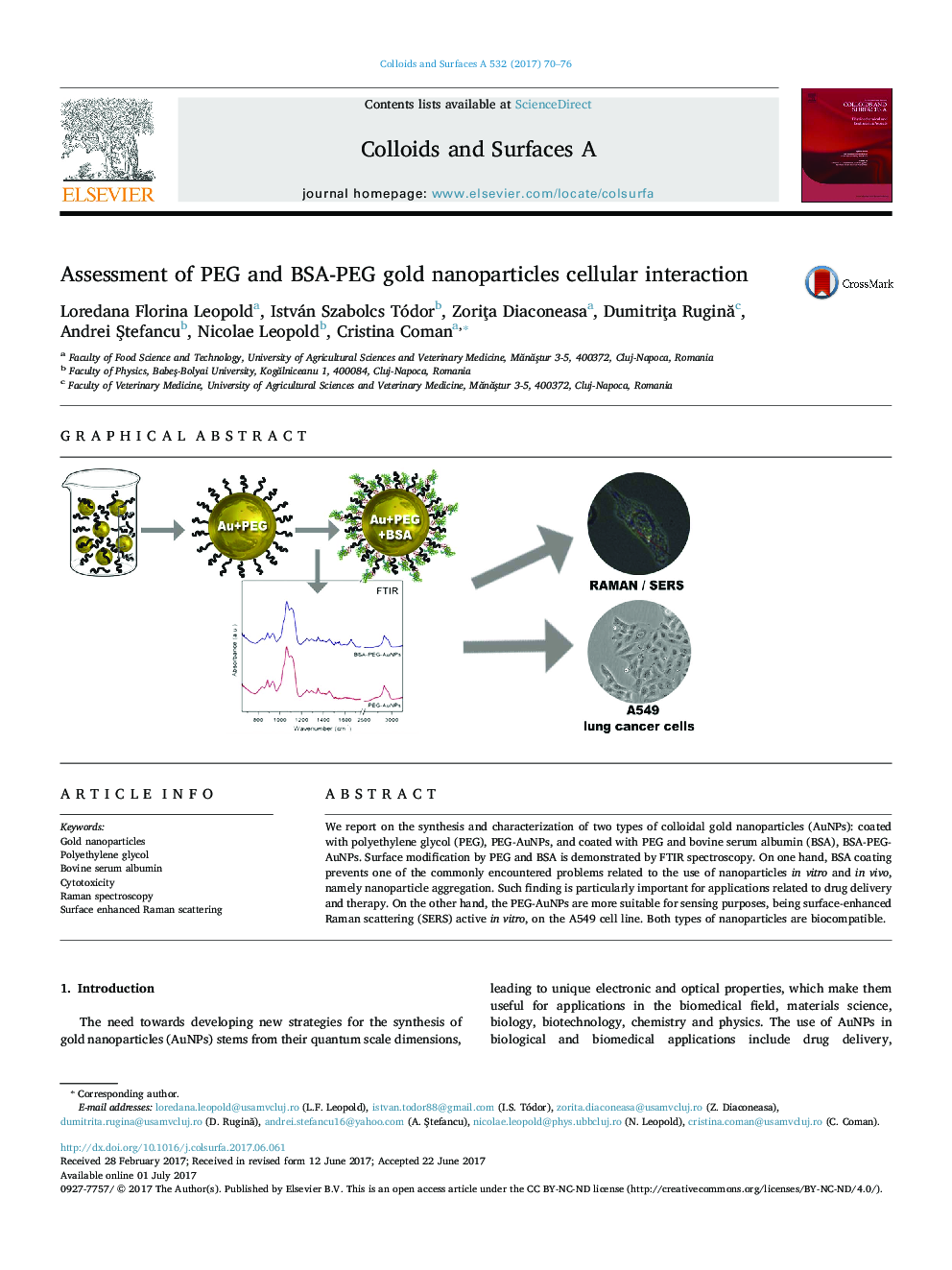 Assessment of PEG and BSA-PEG gold nanoparticles cellular interaction