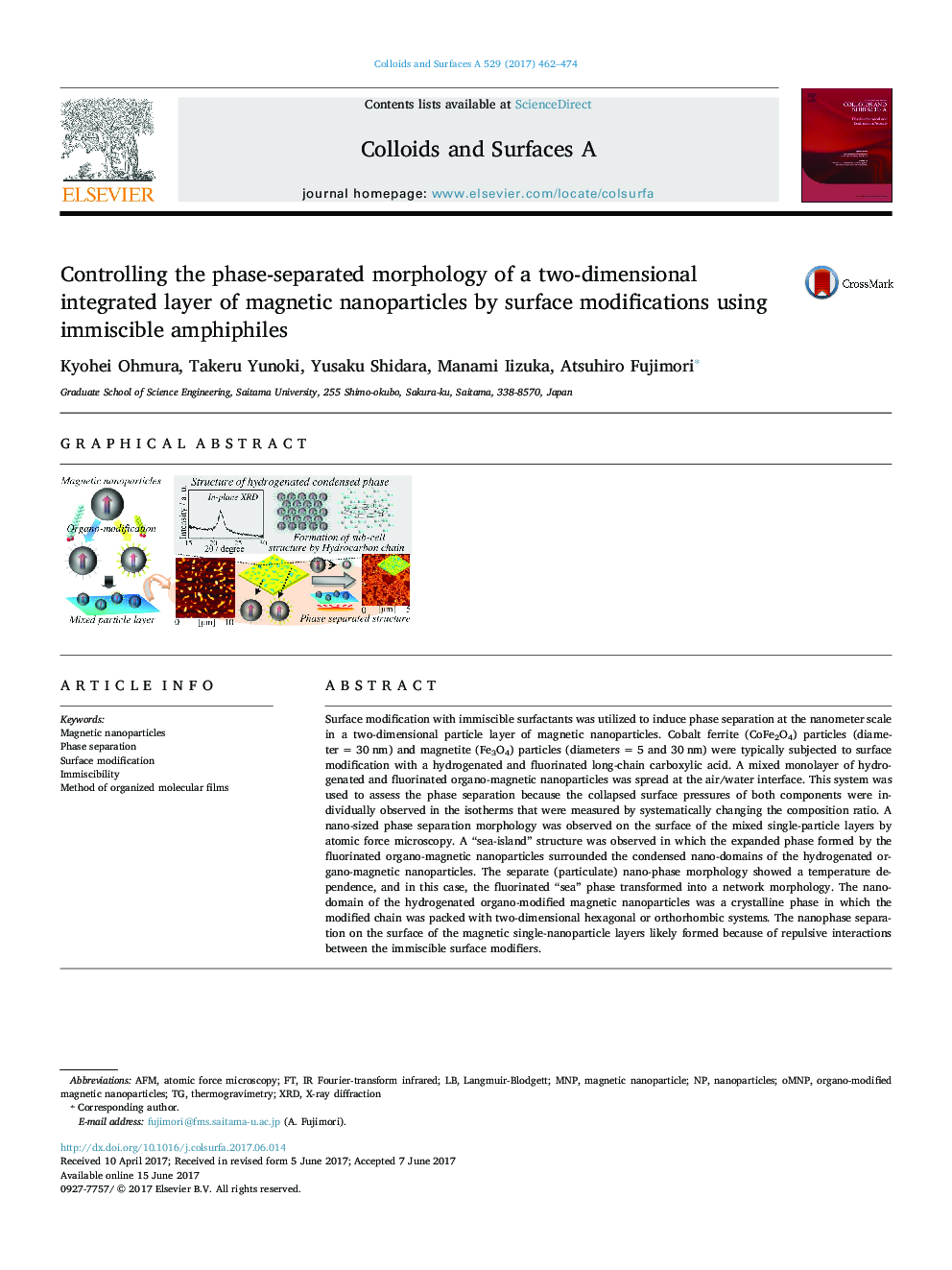 Controlling the phase-separated morphology of a two-dimensional integrated layer of magnetic nanoparticles by surface modifications using immiscible amphiphiles