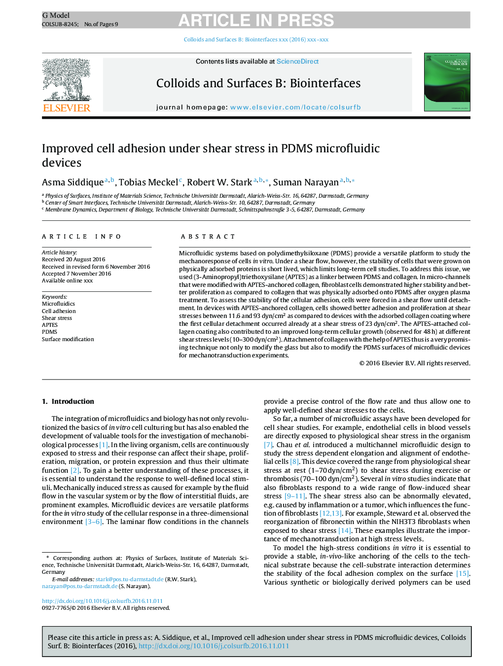 Improved cell adhesion under shear stress in PDMS microfluidic devices