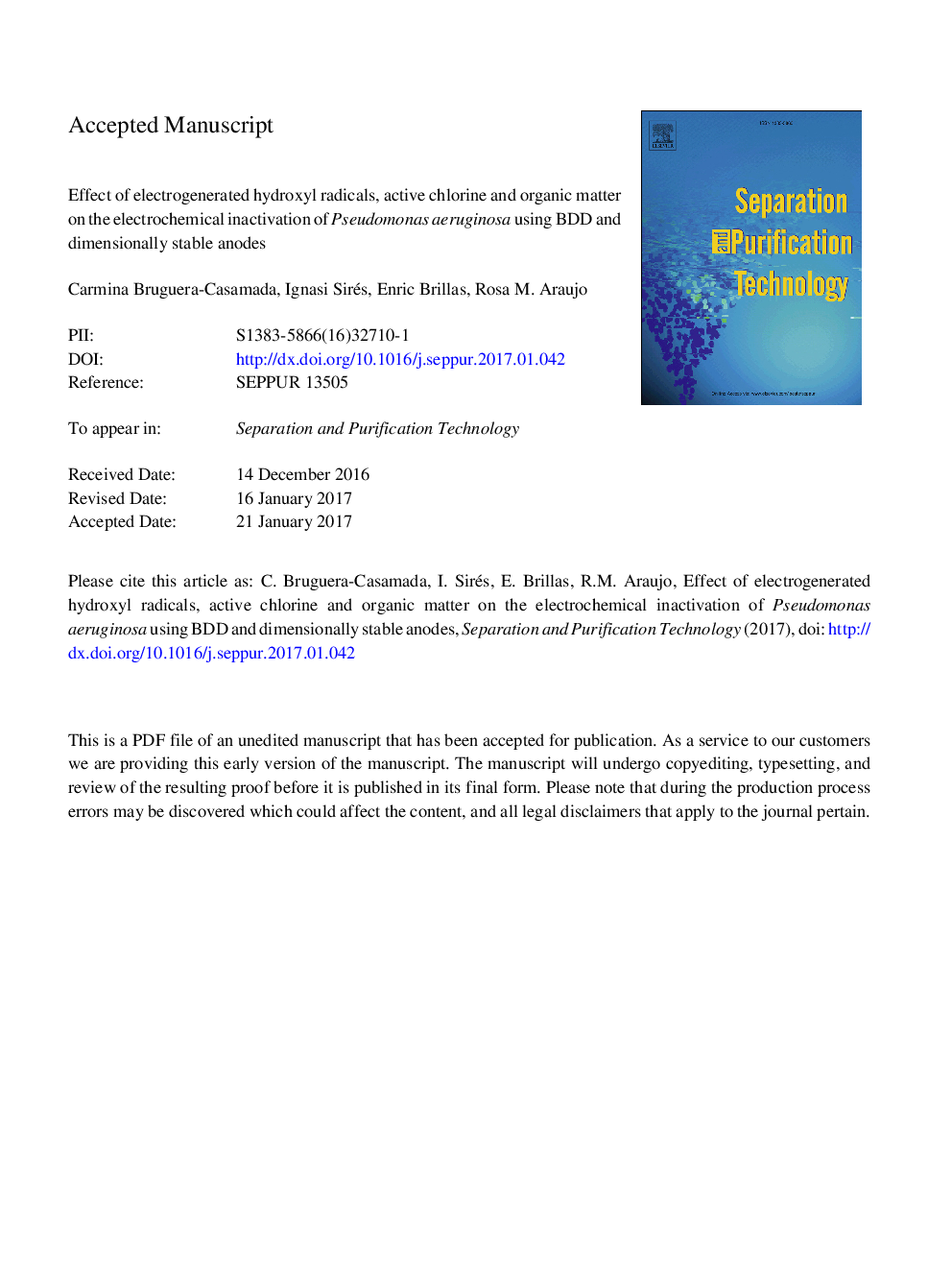 Effect of electrogenerated hydroxyl radicals, active chlorine and organic matter on the electrochemical inactivation of Pseudomonas aeruginosa using BDD and dimensionally stable anodes