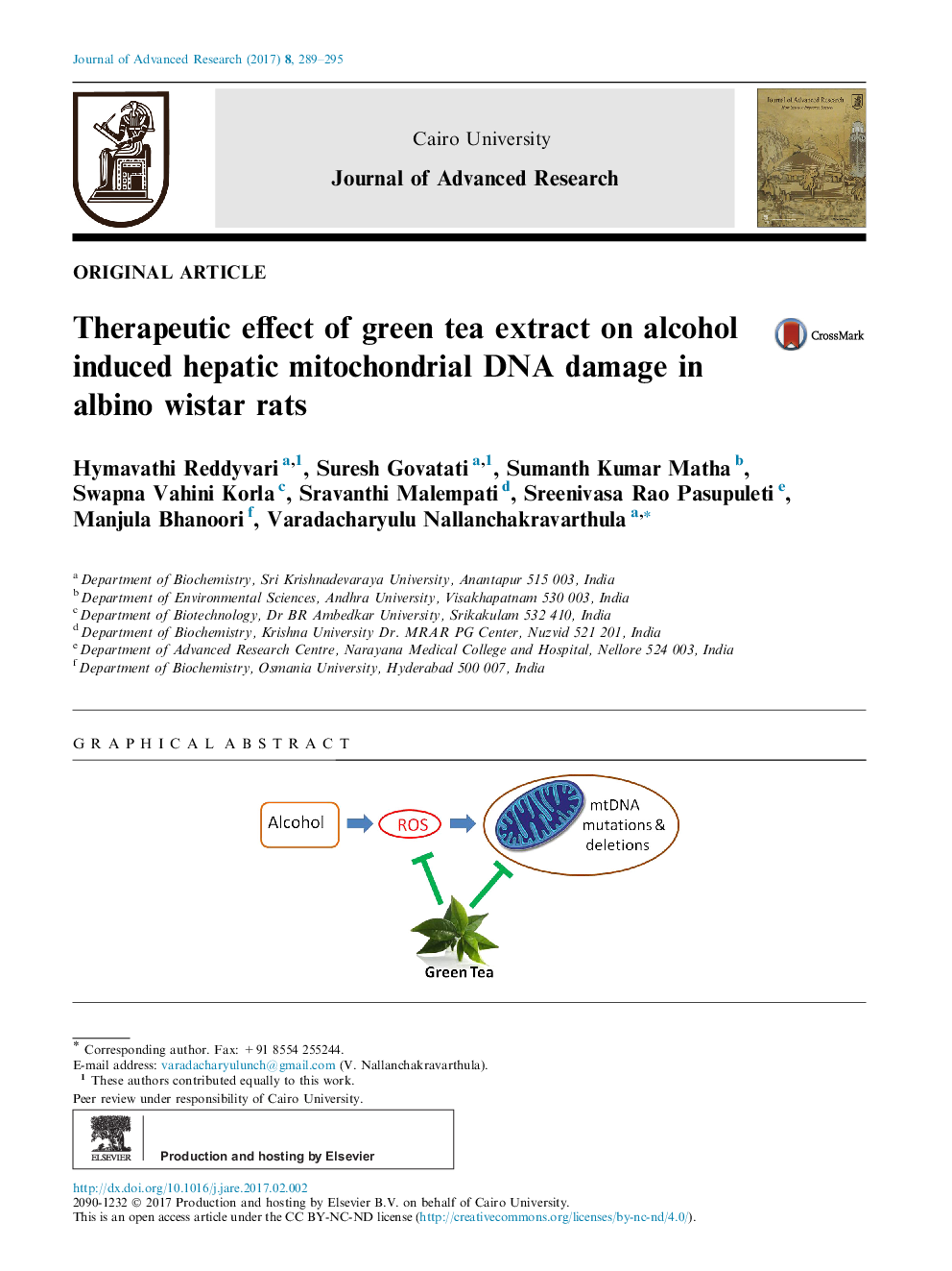 Therapeutic effect of green tea extract on alcohol induced hepatic mitochondrial DNA damage in albino wistar rats