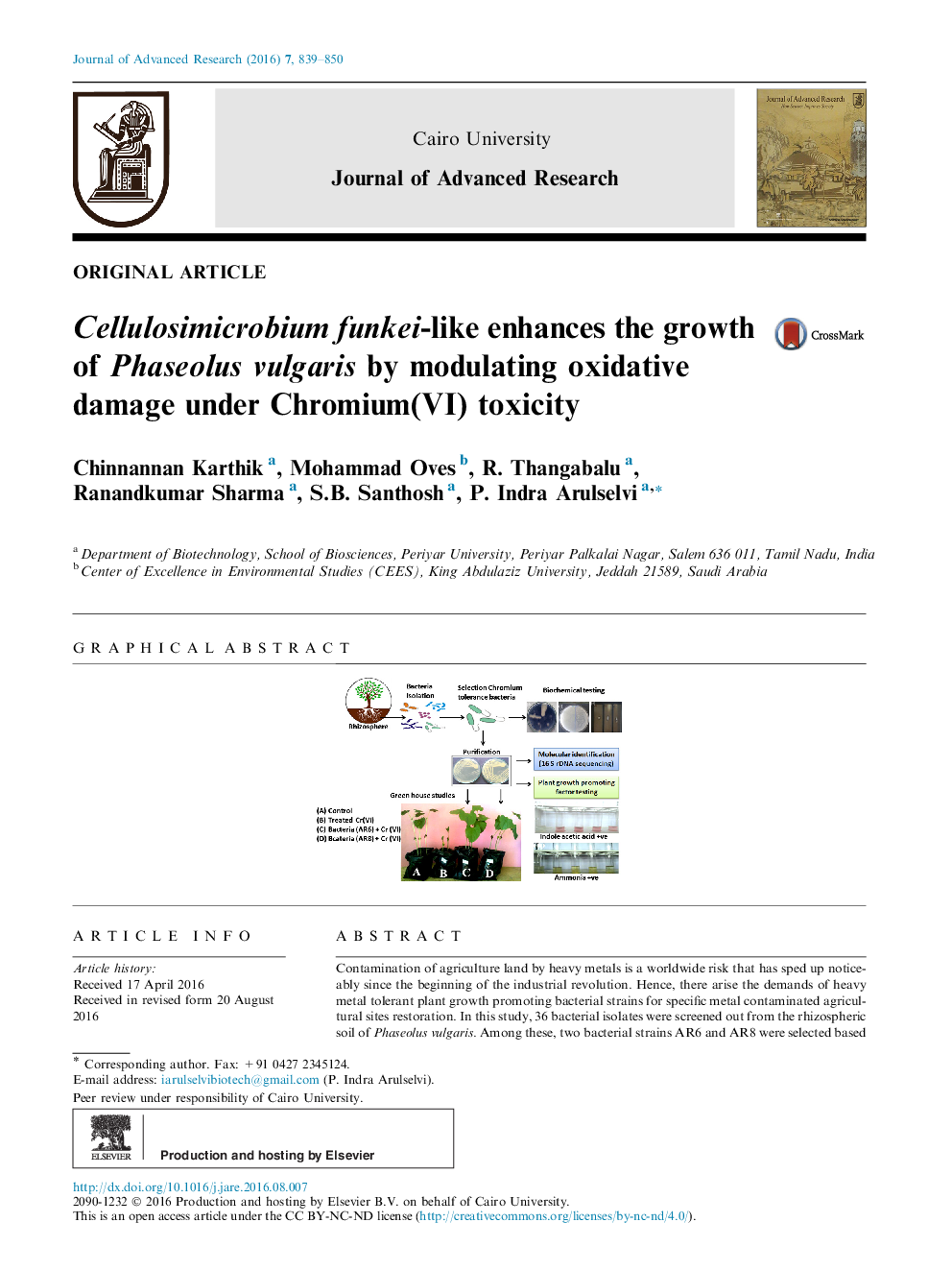 Original ArticleCellulosimicrobium funkei-like enhances the growth of Phaseolus vulgaris by modulating oxidative damage under Chromium(VI) toxicity