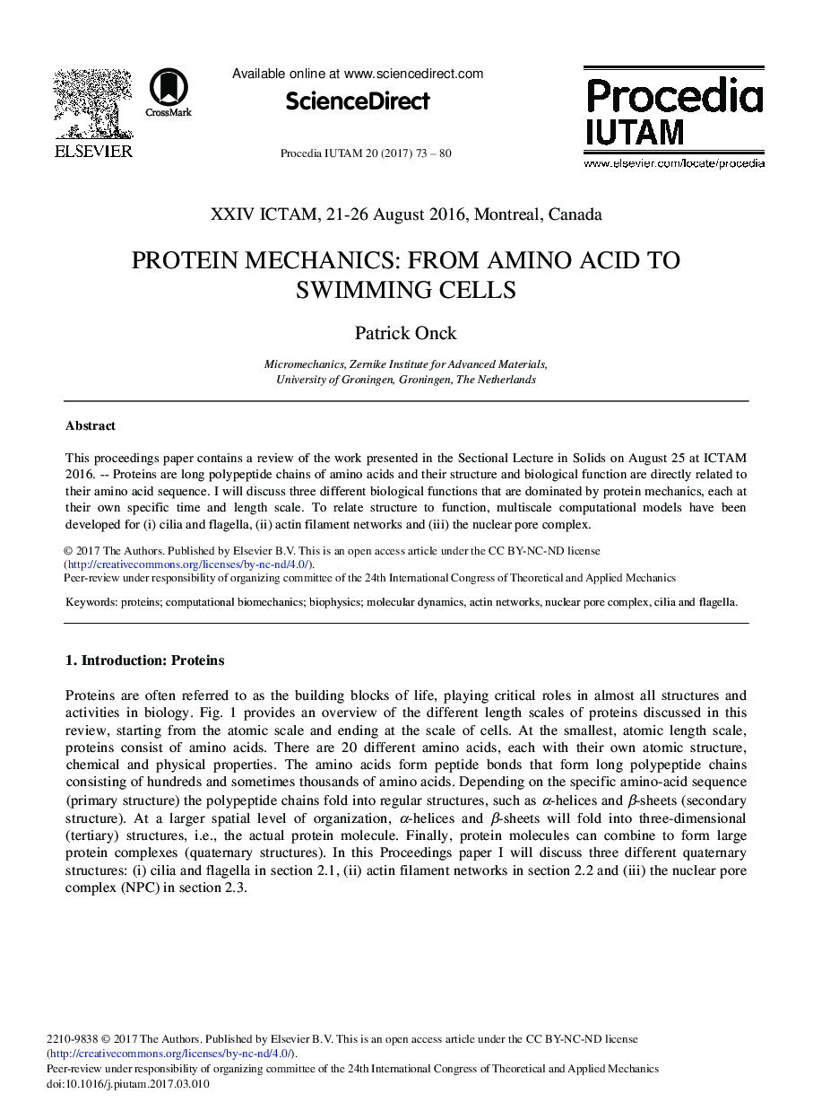 مکانیک پروتئین: از اسید آمینه به سلولهای شنا 