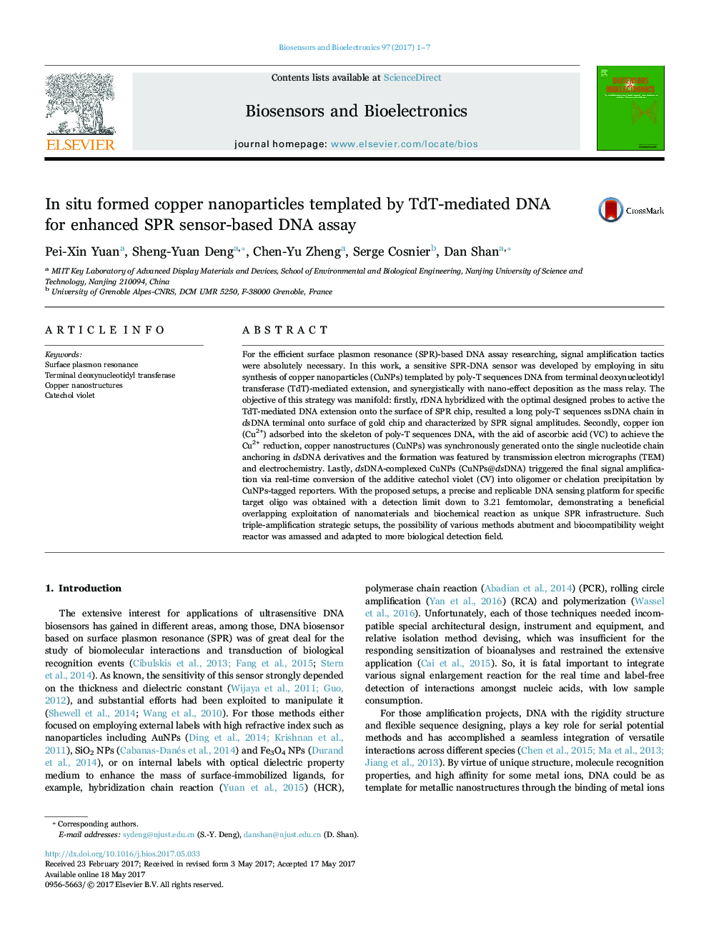 In situ formed copper nanoparticles templated by TdT-mediated DNA for enhanced SPR sensor-based DNA assay