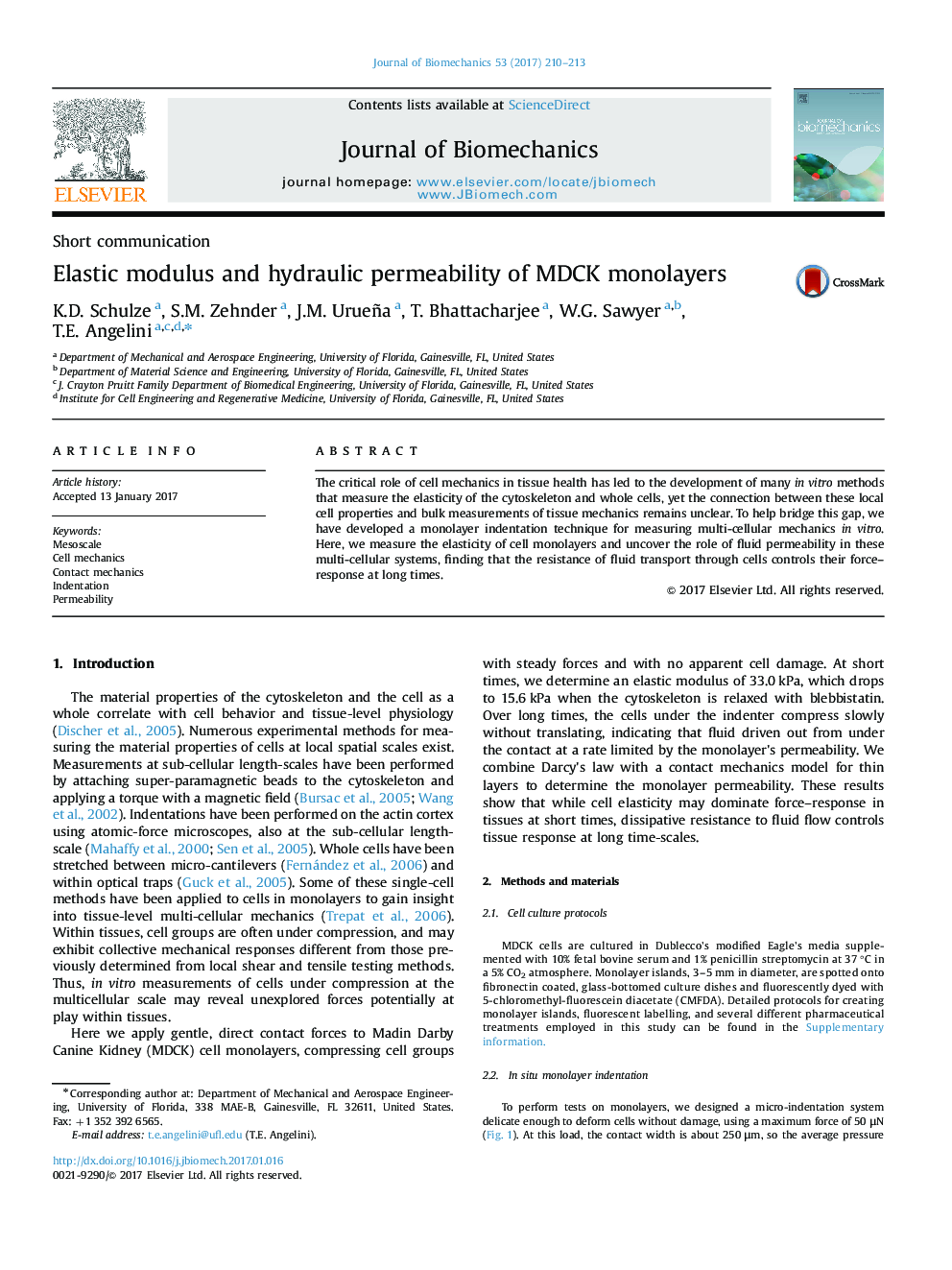 Elastic modulus and hydraulic permeability of MDCK monolayers