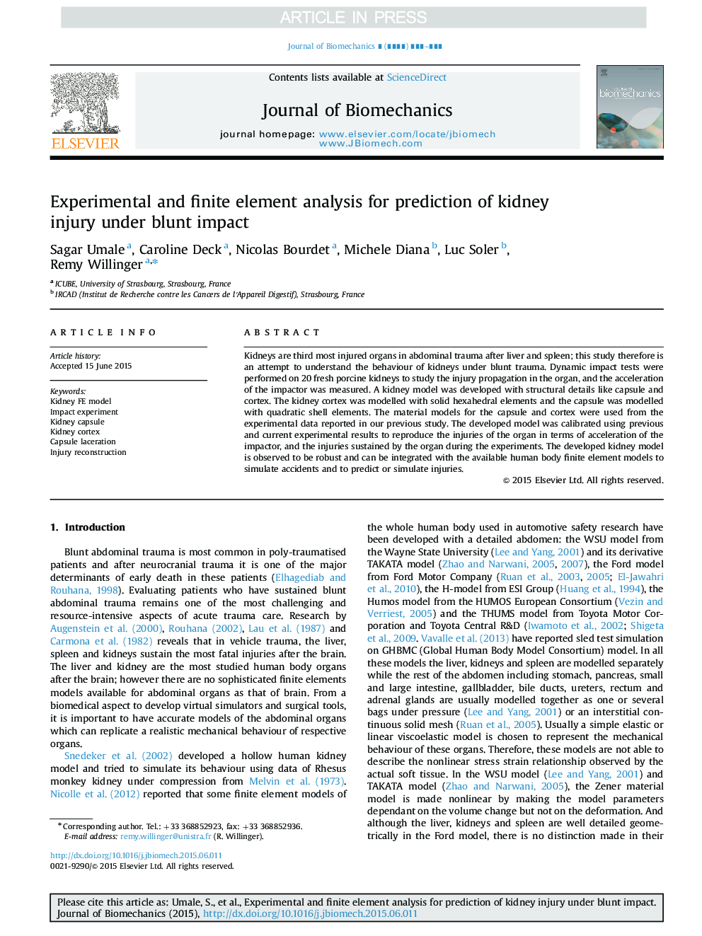 Experimental and finite element analysis for prediction of kidney injury under blunt impact