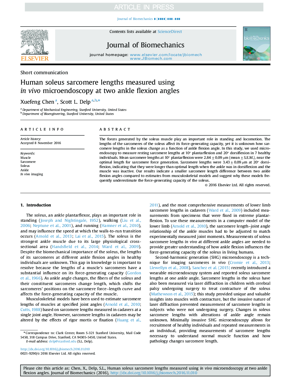 Human soleus sarcomere lengths measured using in vivo microendoscopy at two ankle flexion angles