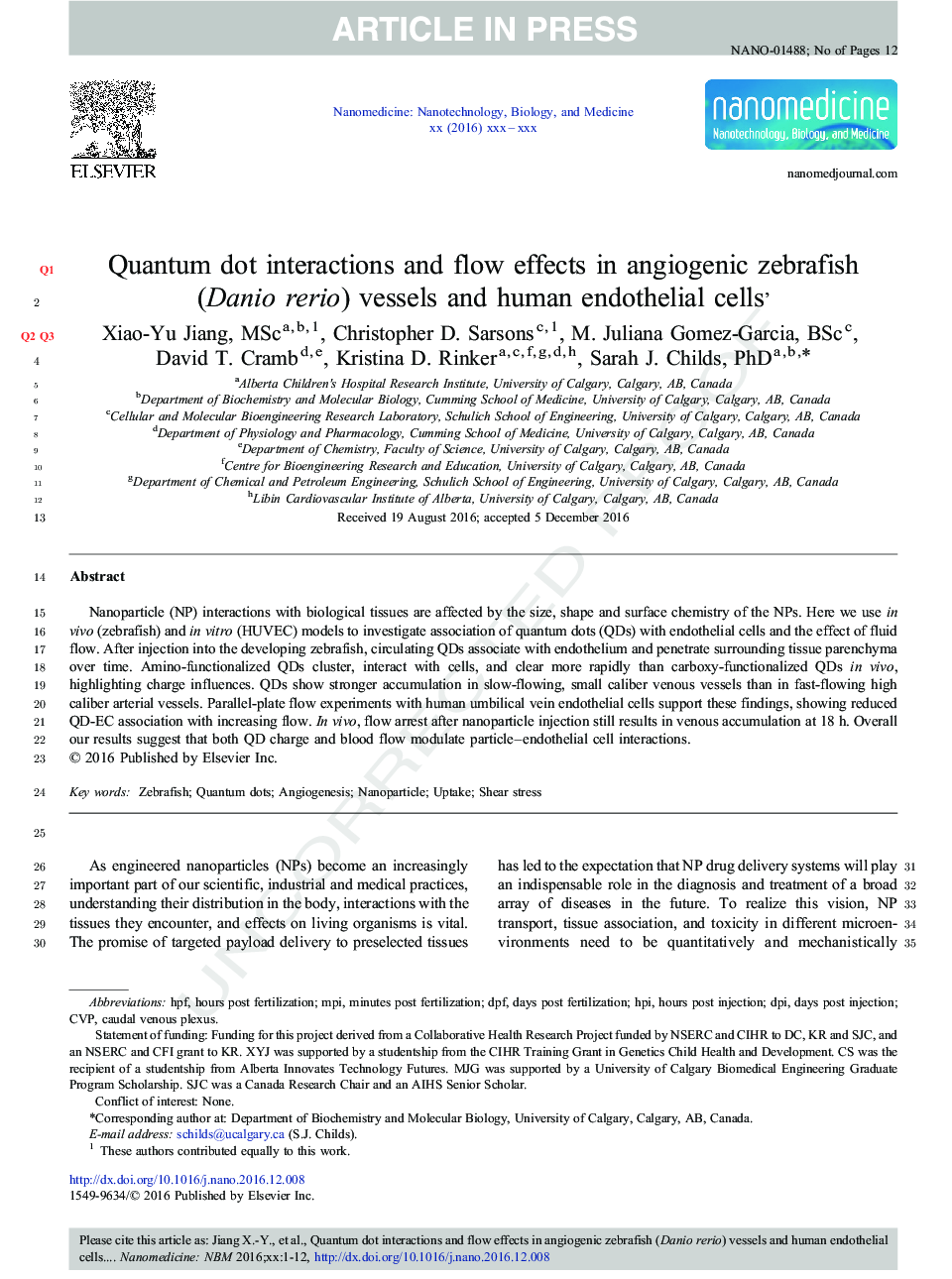 Quantum dot interactions and flow effects in angiogenic zebrafish (Danio rerio) vessels and human endothelial cells