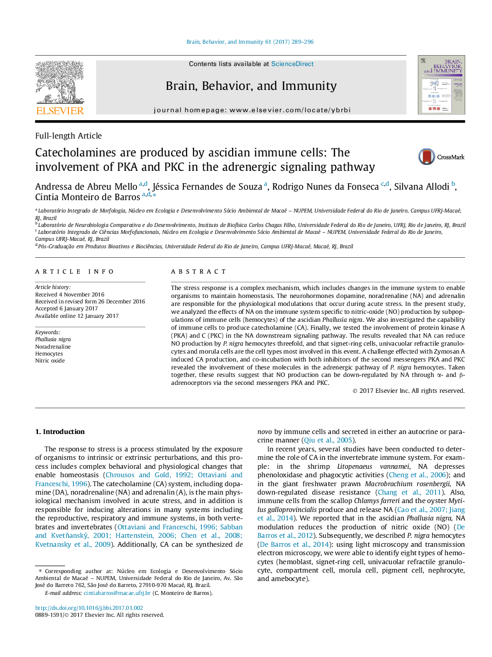 Catecholamines are produced by ascidian immune cells: The involvement of PKA and PKC in the adrenergic signaling pathway