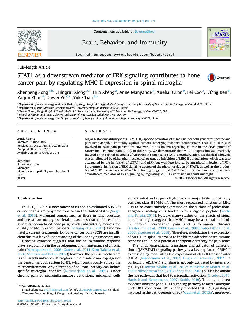 STAT1 as a downstream mediator of ERK signaling contributes to bone cancer pain by regulating MHC II expression in spinal microglia