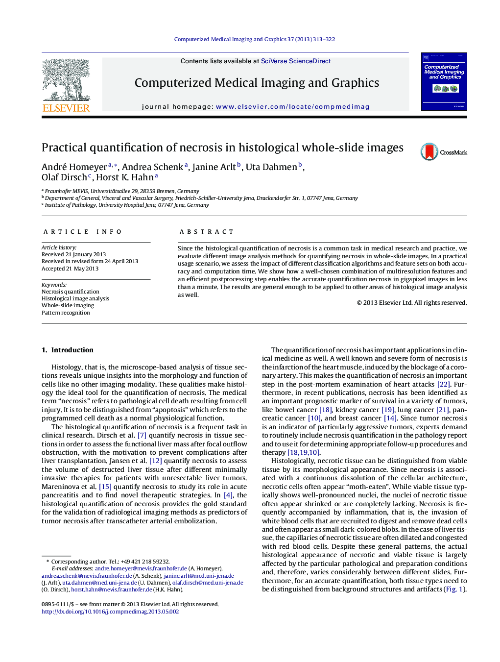 Practical quantification of necrosis in histological whole-slide images