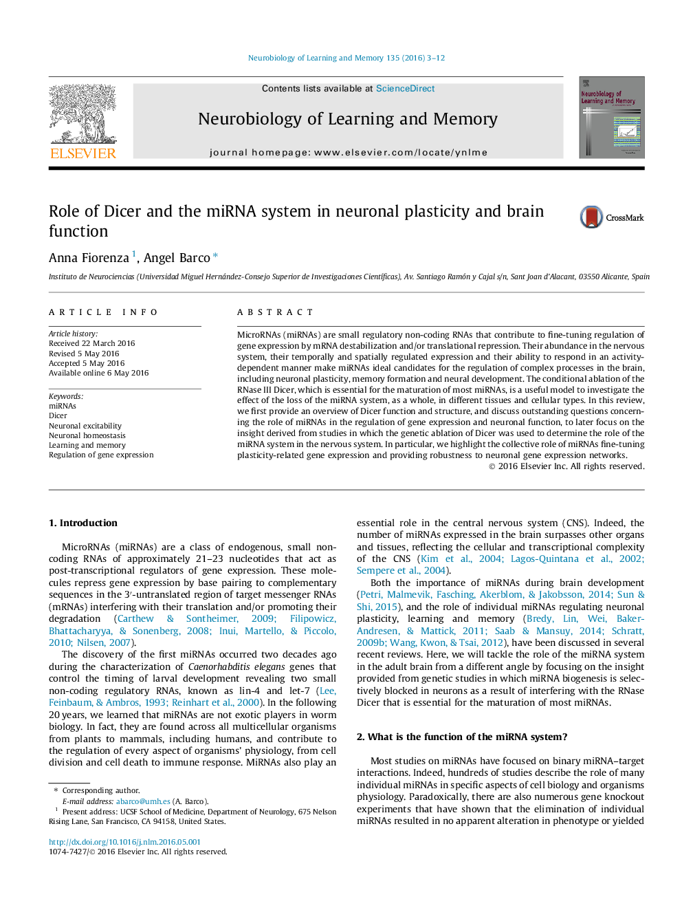 Role of Dicer and the miRNA system in neuronal plasticity and brain function