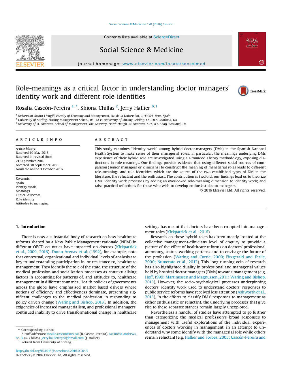 Role-meanings as a critical factor in understanding doctor managers' identity work and different role identities