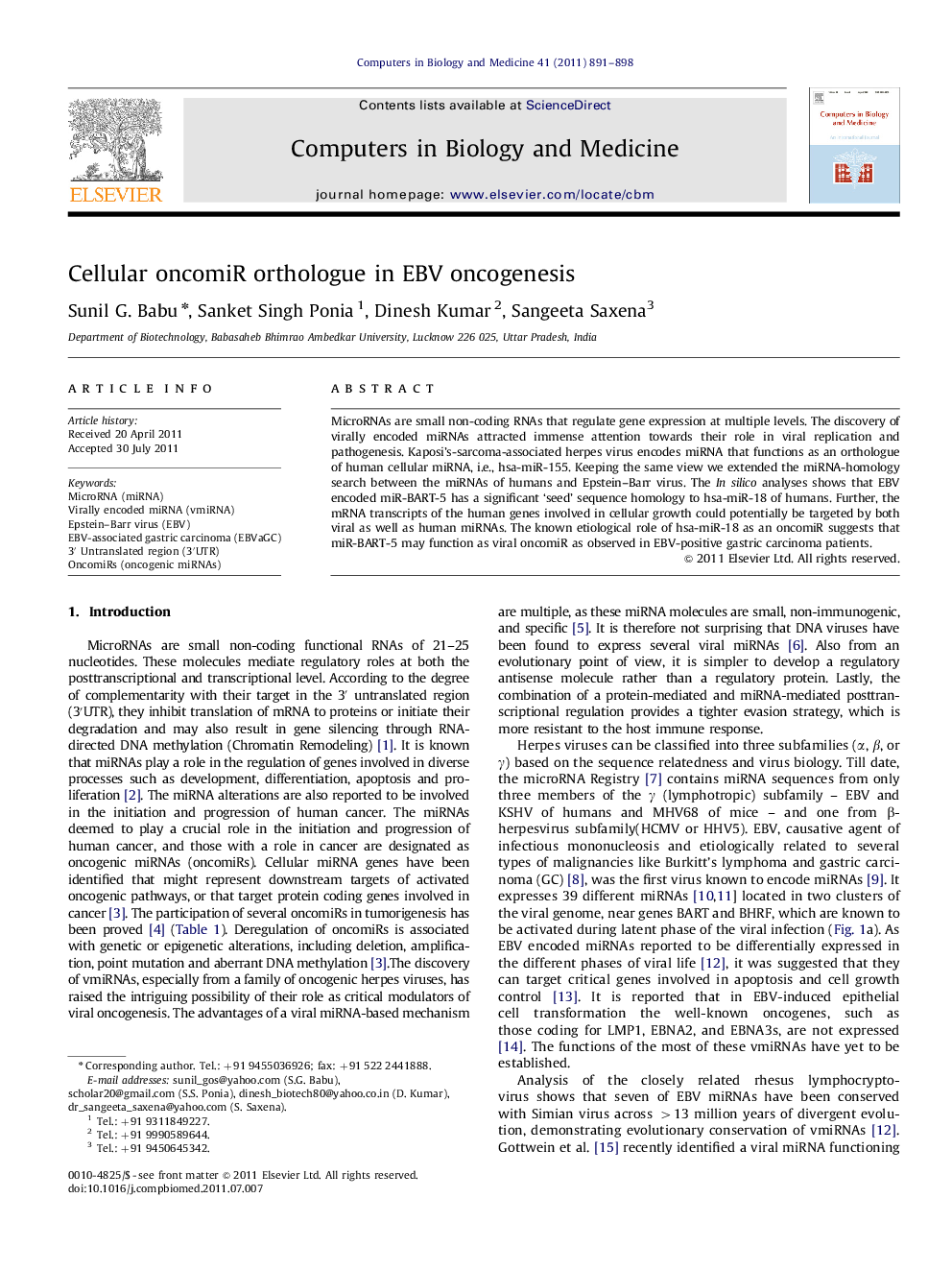 Cellular oncomiR orthologue in EBV oncogenesis