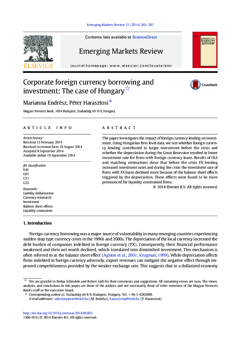 Corporate foreign currency borrowing and investment: The case of Hungary