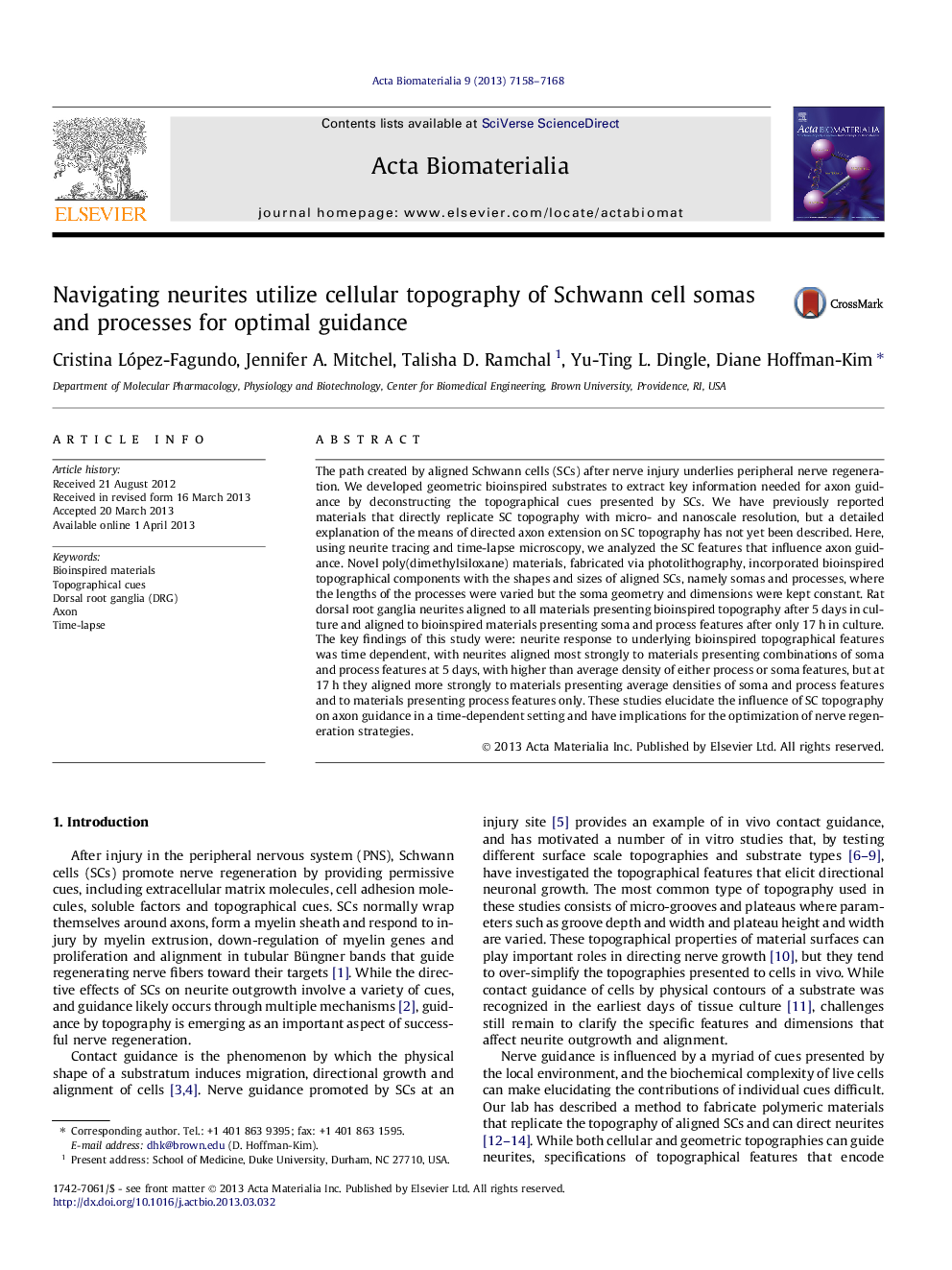 Navigating neurites utilize cellular topography of Schwann cell somas and processes for optimal guidance