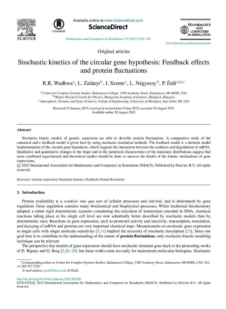 Stochastic kinetics of the circular gene hypothesis: Feedback effects and protein fluctuations