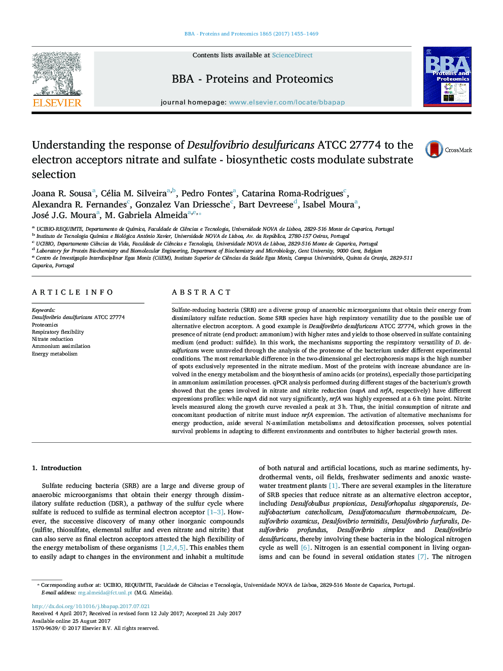 Understanding the response of Desulfovibrio desulfuricans ATCC 27774 to the electron acceptors nitrate and sulfate - biosynthetic costs modulate substrate selection