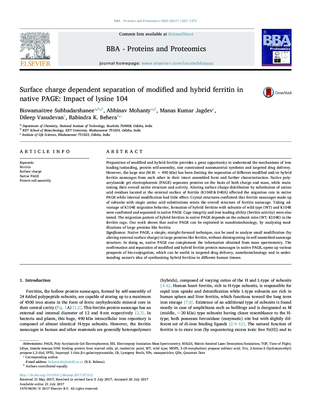 Surface charge dependent separation of modified and hybrid ferritin in native PAGE: Impact of lysine 104