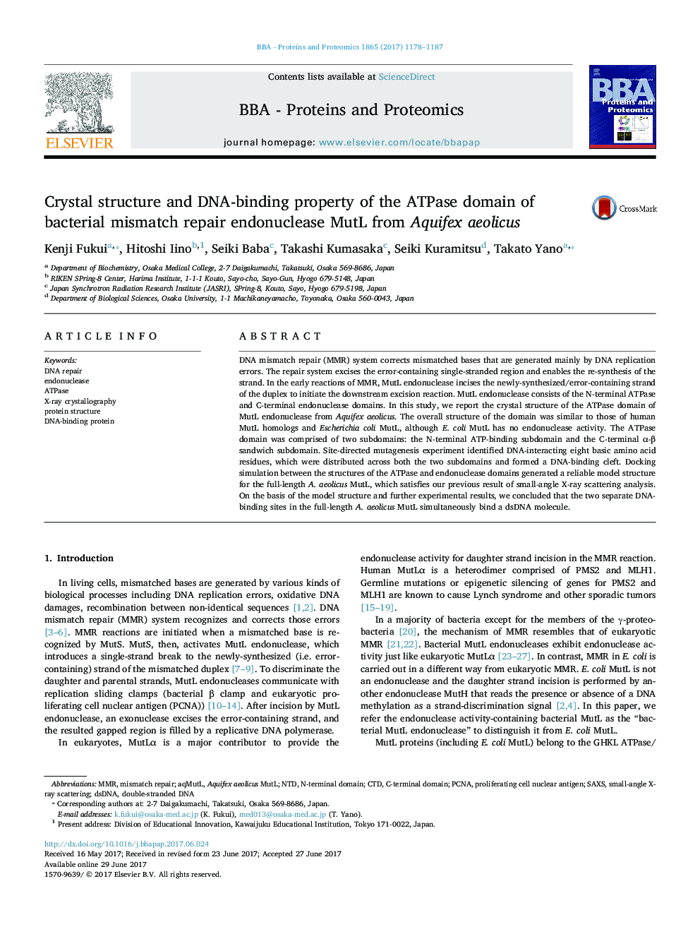 Crystal structure and DNA-binding property of the ATPase domain of bacterial mismatch repair endonuclease MutL from Aquifex aeolicus