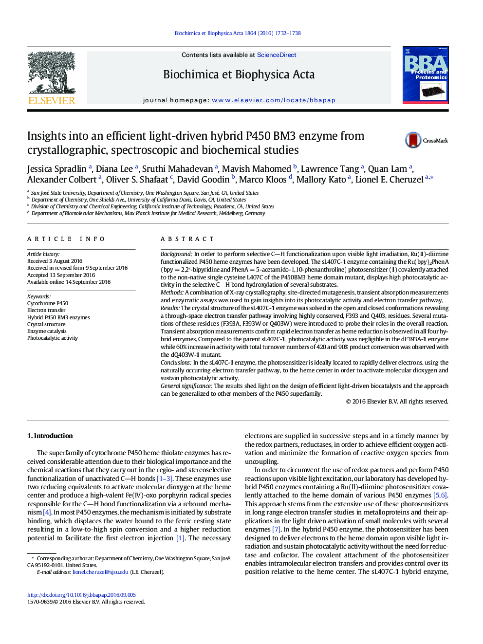 Insights into an efficient light-driven hybrid P450 BM3 enzyme from crystallographic, spectroscopic and biochemical studies