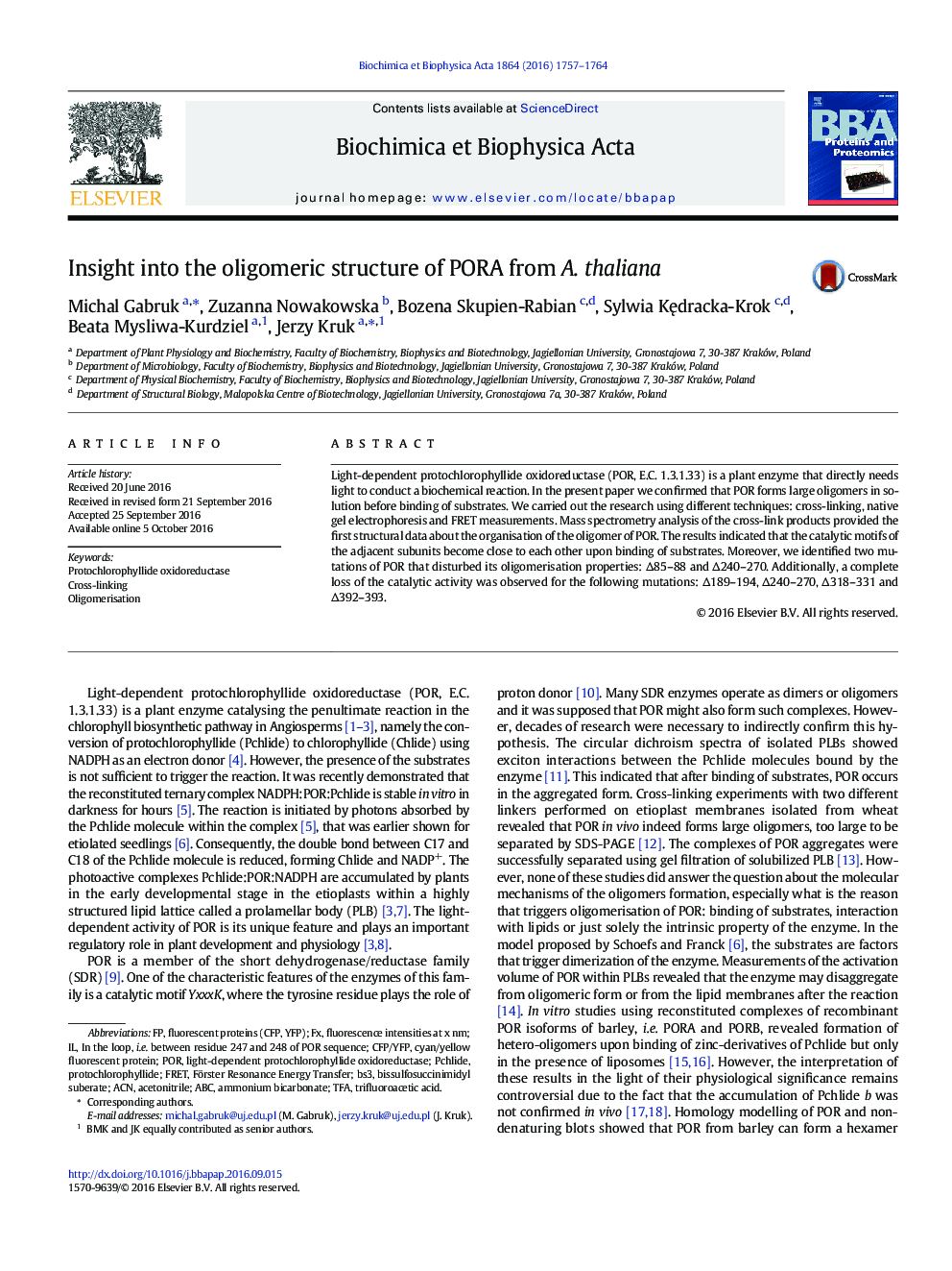 Insight into the oligomeric structure of PORA from A. thaliana