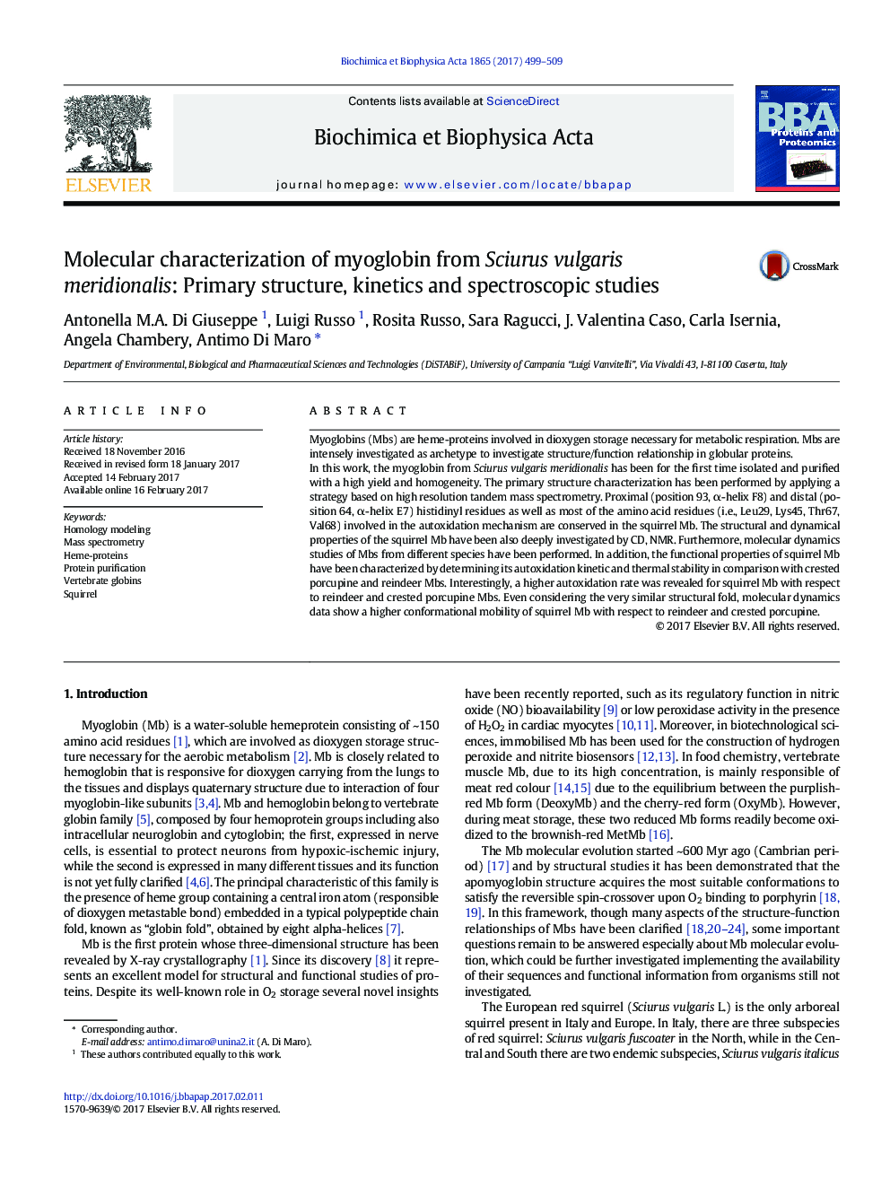 Molecular characterization of myoglobin from Sciurus vulgaris meridionalis: Primary structure, kinetics and spectroscopic studies
