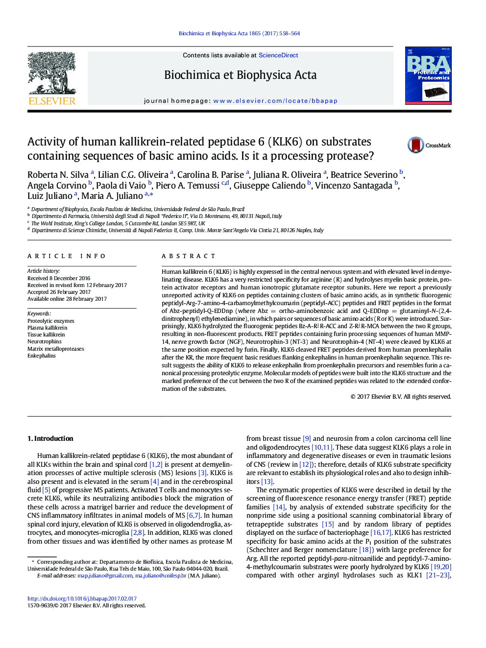 Activity of human kallikrein-related peptidase 6 (KLK6) on substrates containing sequences of basic amino acids. Is it a processing protease?