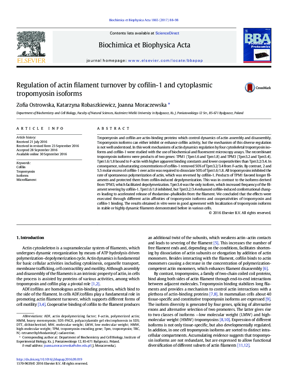 Regulation of actin filament turnover by cofilin-1 and cytoplasmic tropomyosin isoforms