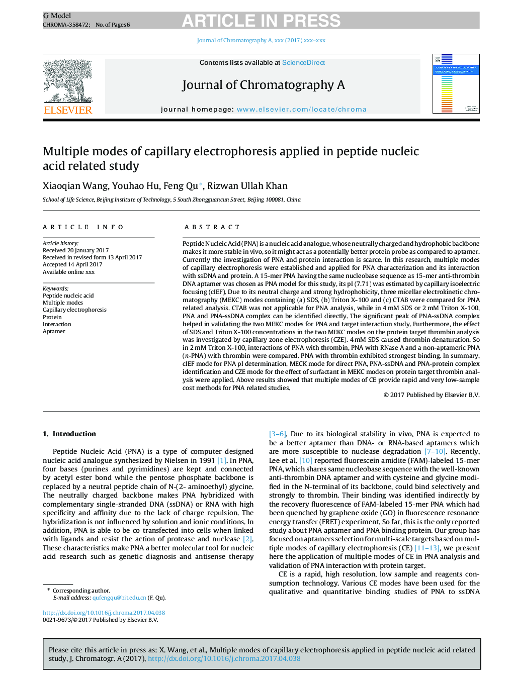 Multiple modes of capillary electrophoresis applied in peptide nucleic acid related study