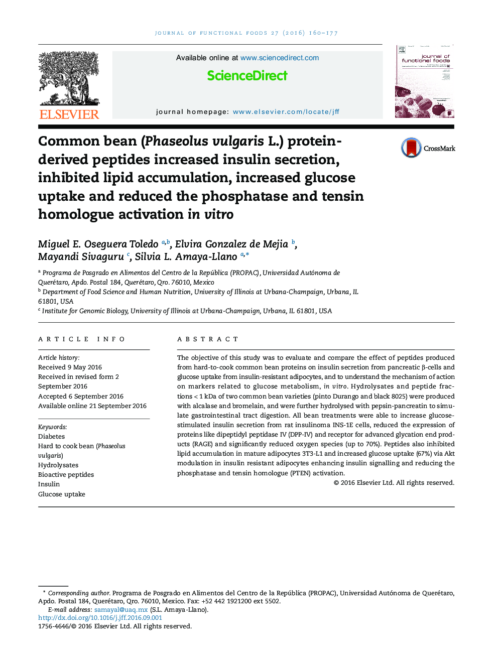 Common bean (Phaseolus vulgaris L.) protein-derived peptides increased insulin secretion, inhibited lipid accumulation, increased glucose uptake and reduced the phosphatase and tensin homologue activation in vitro