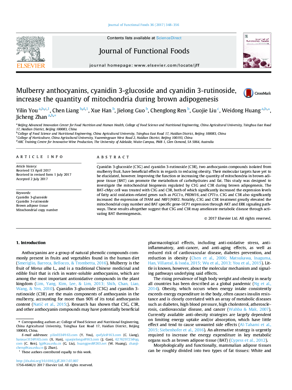 Mulberry anthocyanins, cyanidin 3-glucoside and cyanidin 3-rutinoside, increase the quantity of mitochondria during brown adipogenesis