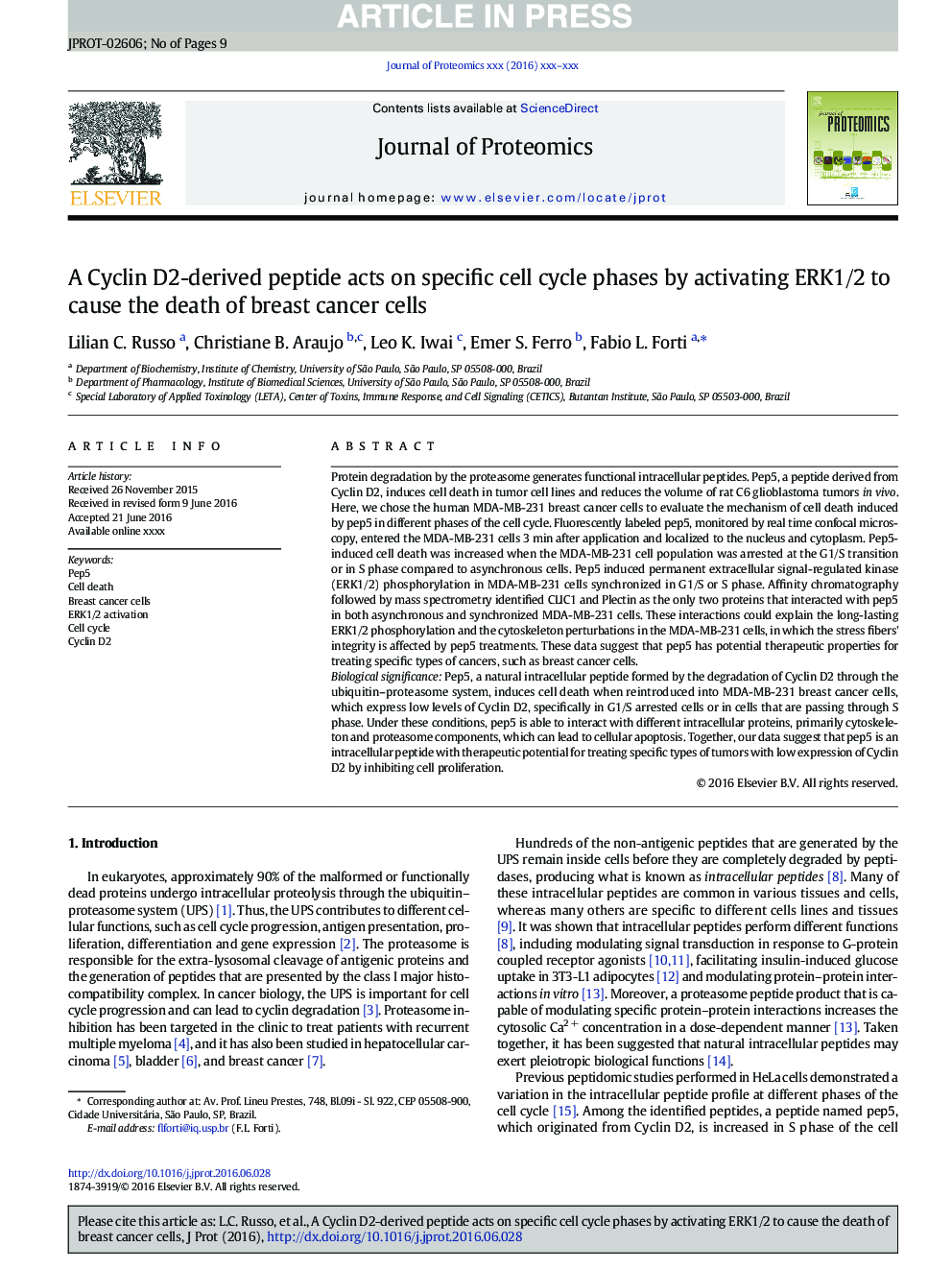 A Cyclin D2-derived peptide acts on specific cell cycle phases by activating ERK1/2 to cause the death of breast cancer cells