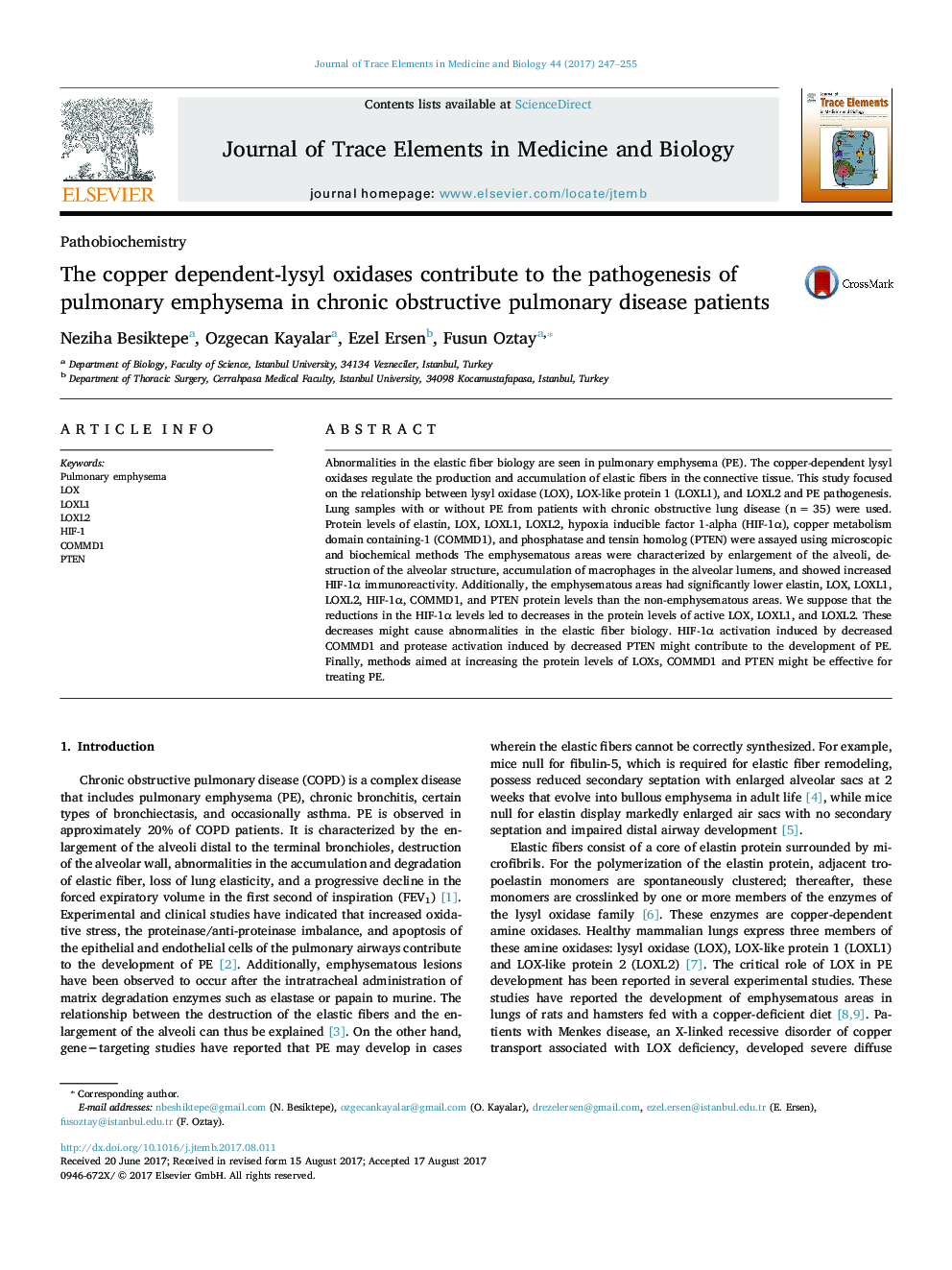 The copper dependent-lysyl oxidases contribute to the pathogenesis of pulmonary emphysema in chronic obstructive pulmonary disease patients