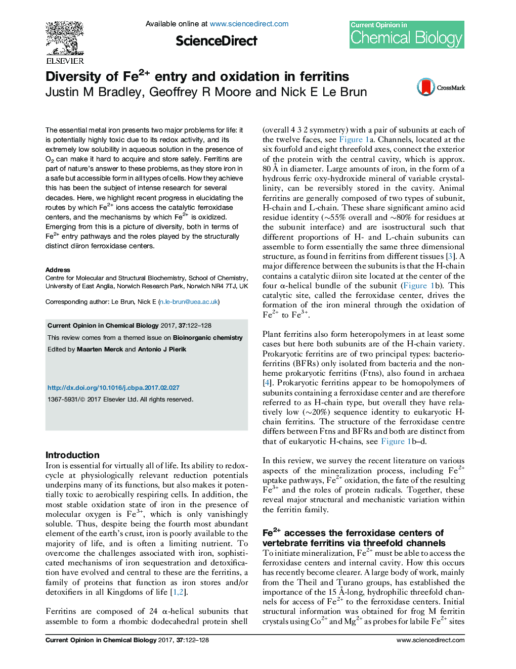 Diversity of Fe2+ entry and oxidation in ferritins