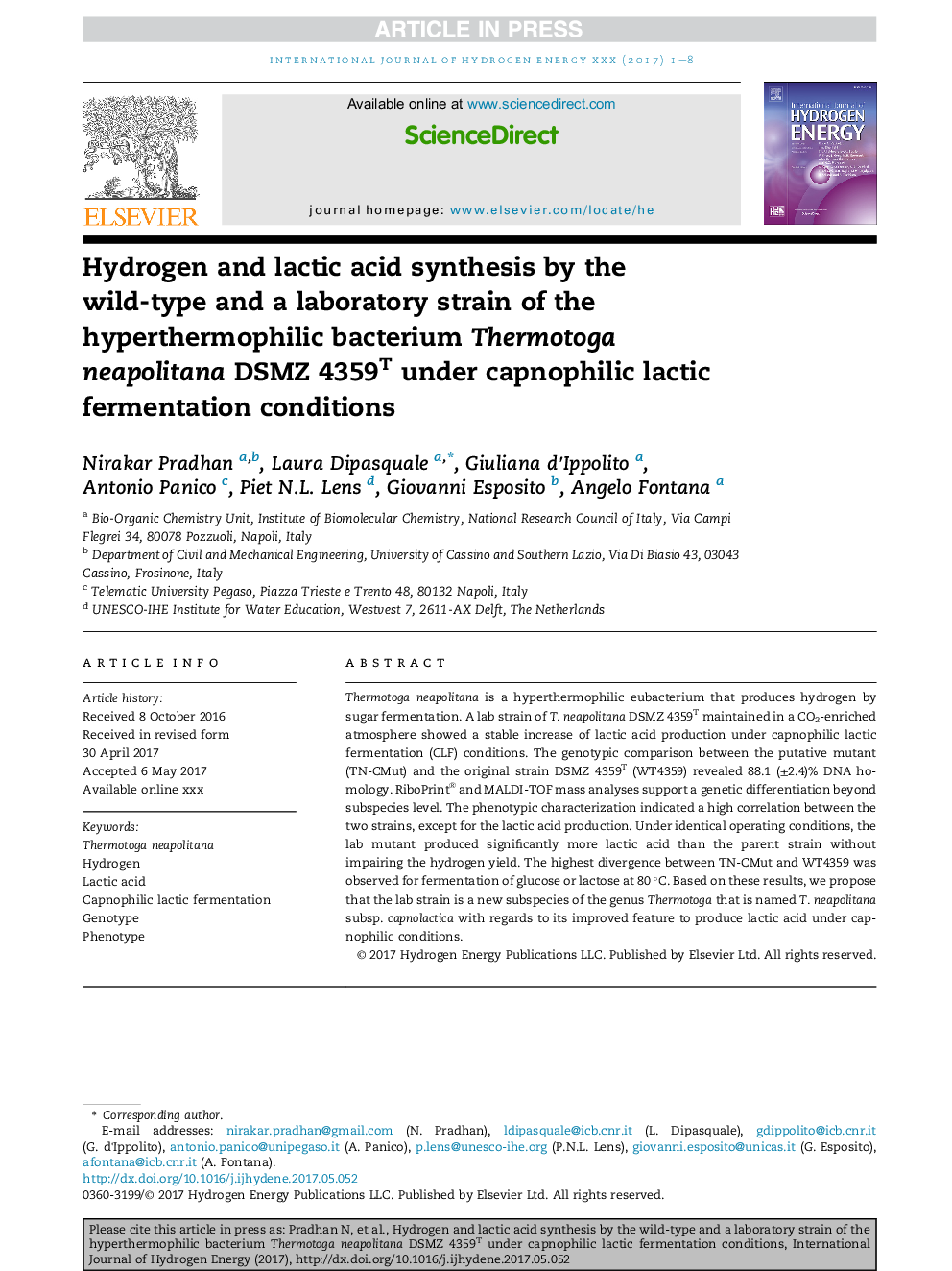 Hydrogen and lactic acid synthesis by the wild-type and a laboratory strain of the hyperthermophilic bacterium Thermotoga neapolitana DSMZ 4359T under capnophilic lactic fermentation conditions