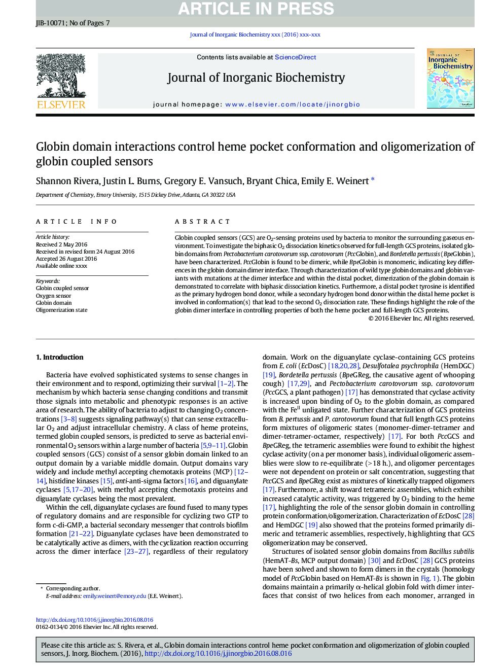Globin domain interactions control heme pocket conformation and oligomerization of globin coupled sensors