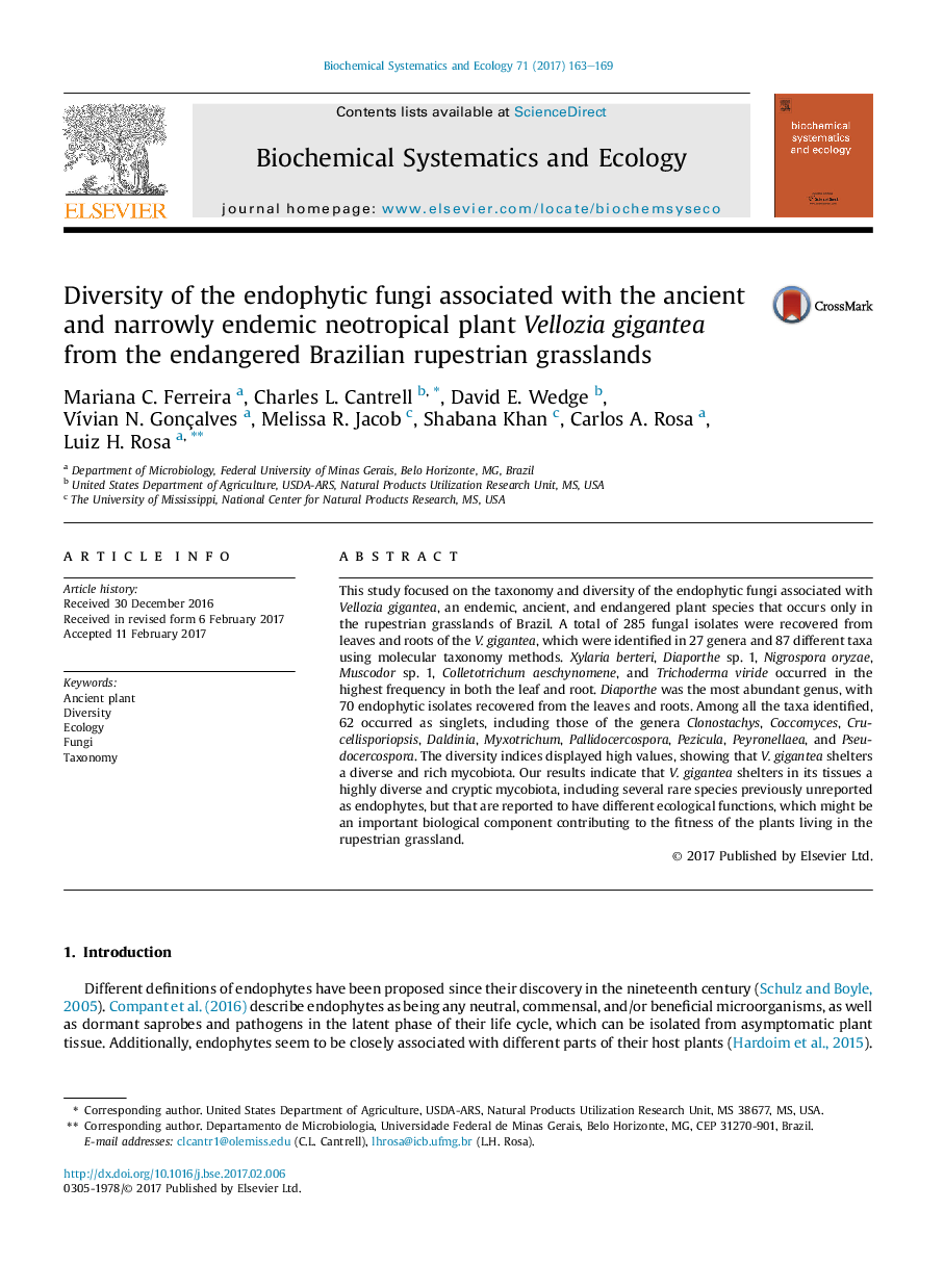 Diversity of the endophytic fungi associated with the ancient and narrowly endemic neotropical plant Vellozia gigantea from the endangered Brazilian rupestrian grasslands