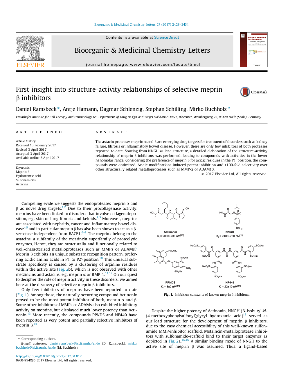 First insight into structure-activity relationships of selective meprin Î² inhibitors