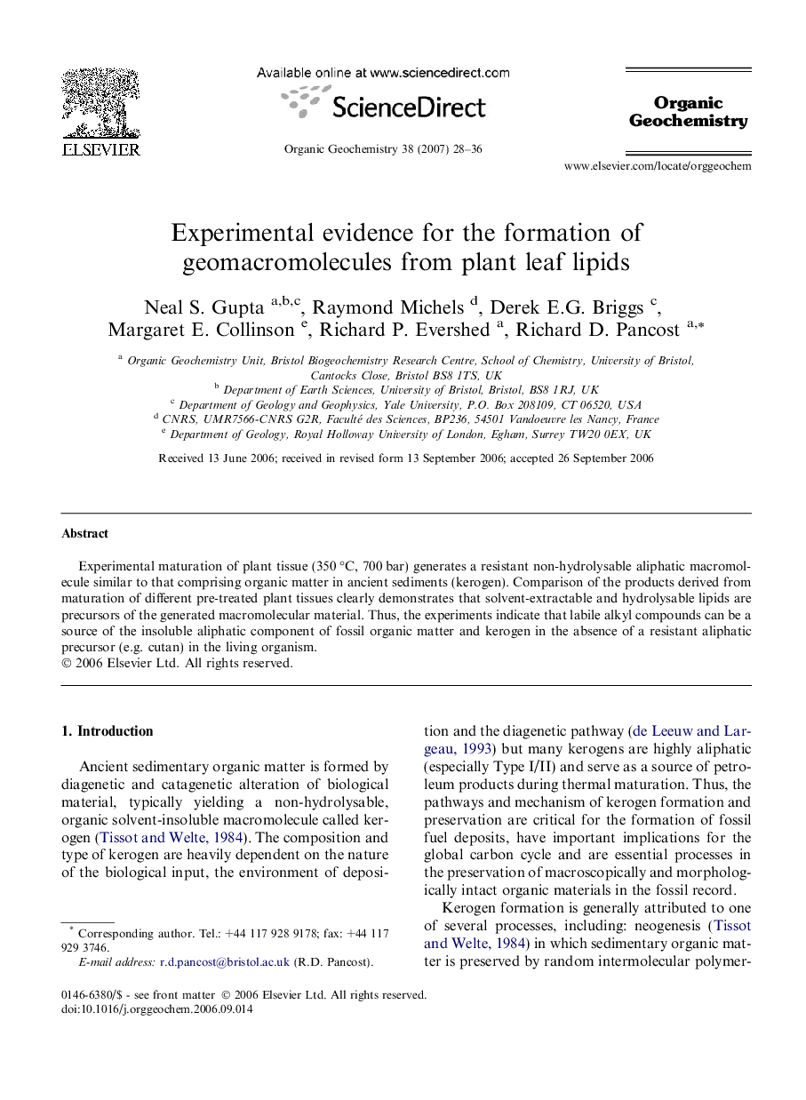 Experimental evidence for the formation of geomacromolecules from plant leaf lipids