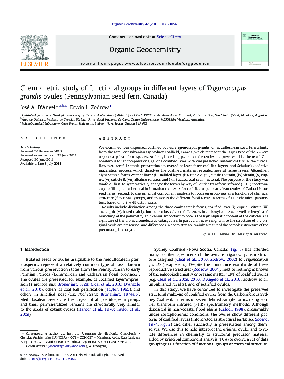 Chemometric study of functional groups in different layers of Trigonocarpus grandis ovules (Pennsylvanian seed fern, Canada)