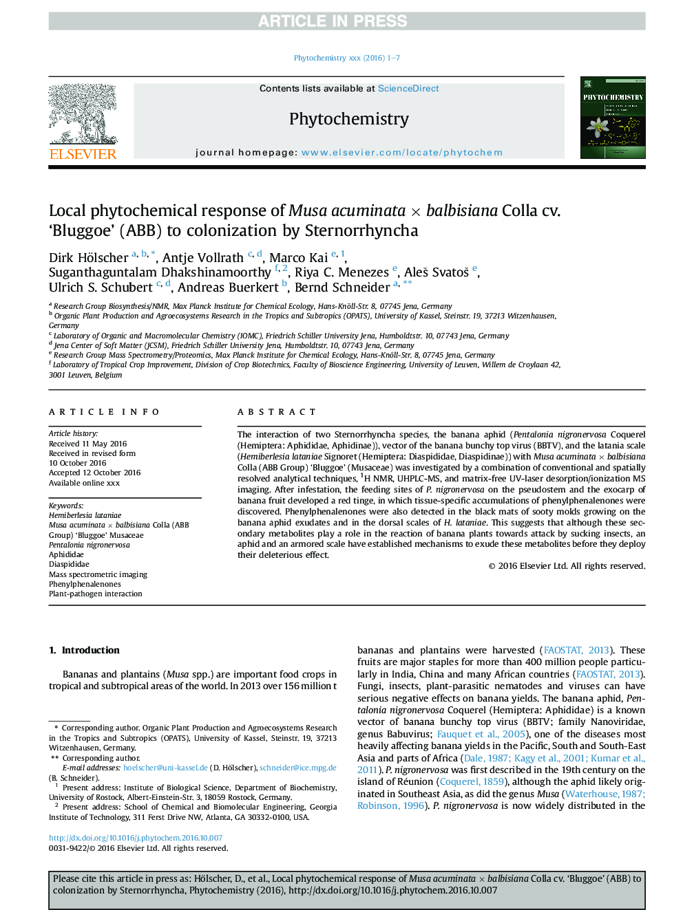 Local phytochemical response of Musa acuminataÂ ÃÂ balbisiana Colla cv. 'Bluggoe' (ABB) to colonization by Sternorrhyncha